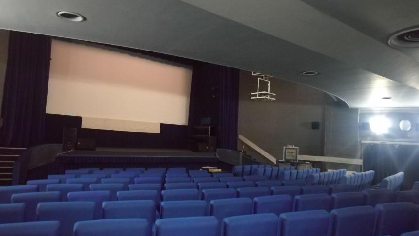 L'impact du cinéma roumain contemporain sur l'opinion publique européenne : de la critique sociale à l'universalité