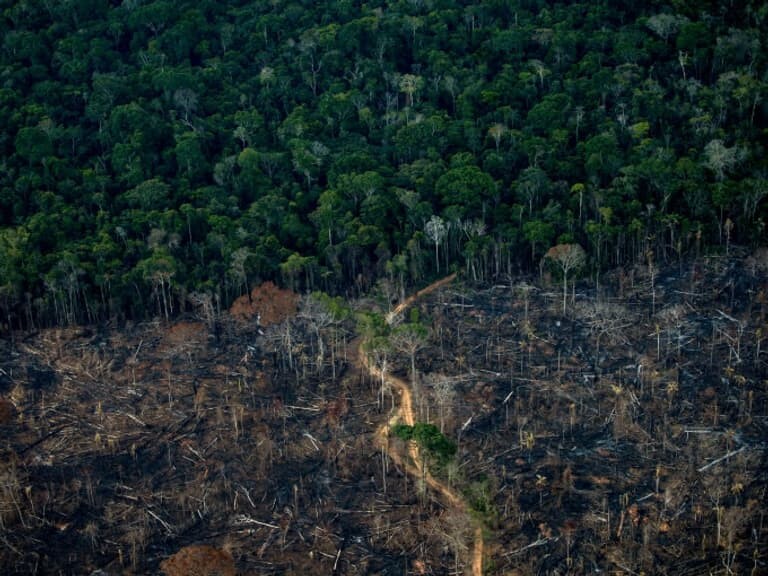 Vue-aerienne-d-une-zone-de-deforestation-de-l-Amazonie-le-15-septembre-2021-a-Labrea-au-Bresil-1159792.jpg