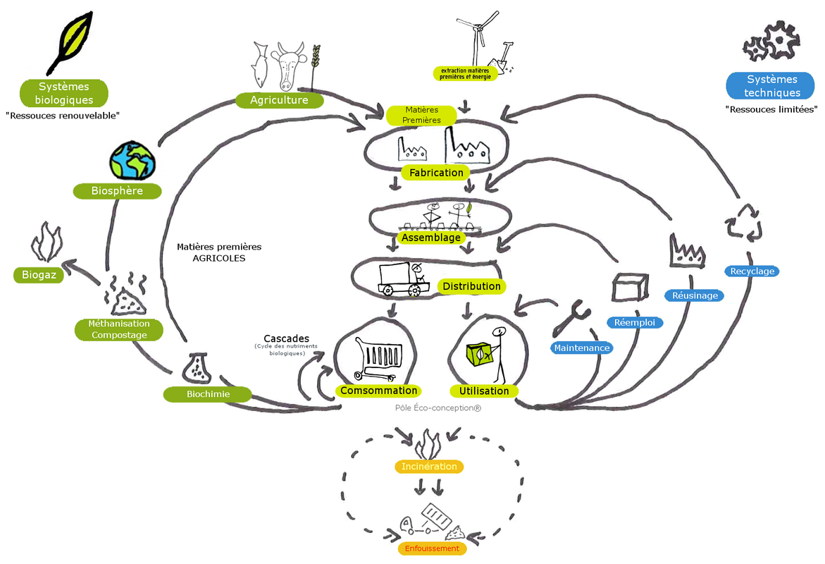 economie_circulaire_pole_eco-conception2.png