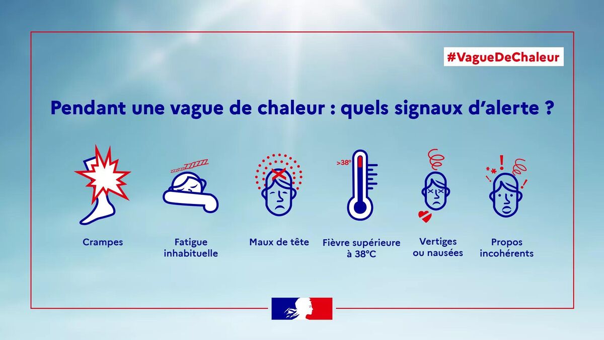 Signaux_dalerte.png.jpg