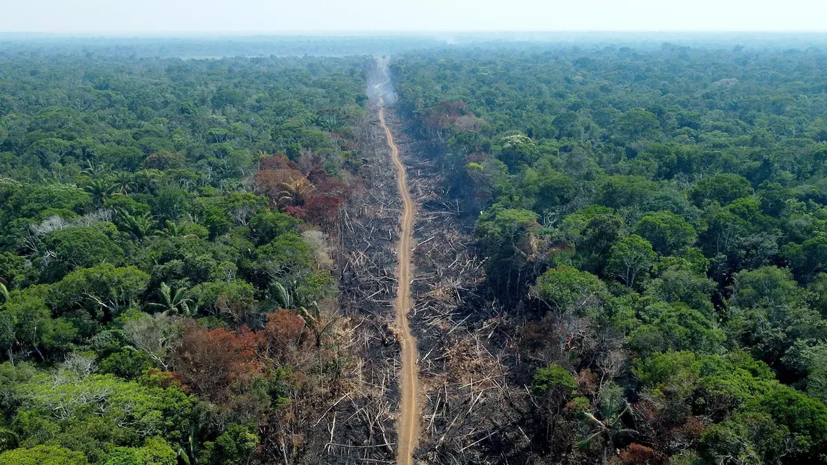 deforestation-bresil-amazonie-hdm.webp