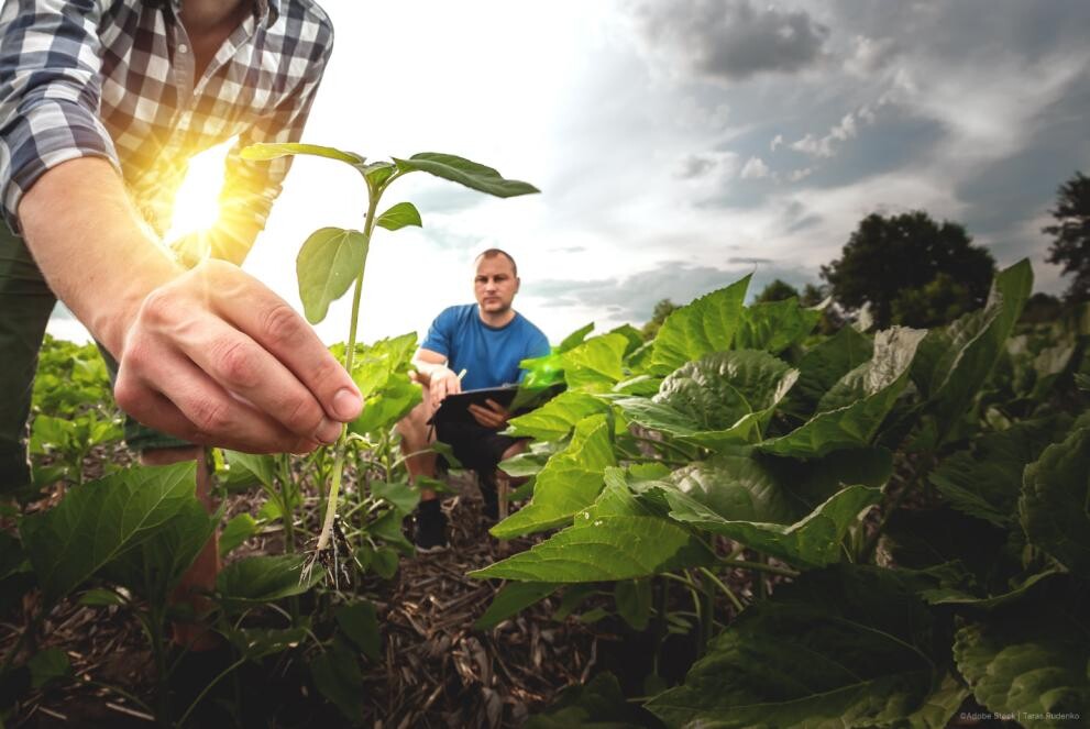 Agriculture-and-rural-development_web2.jpg
