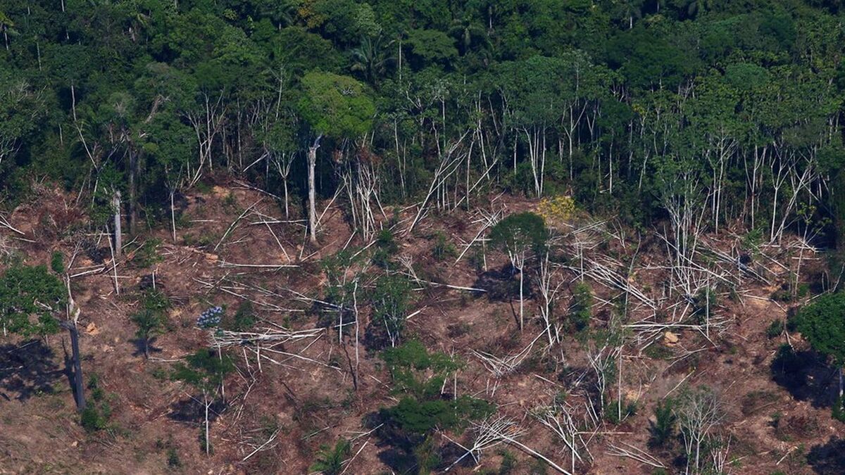 FILE PHOTO: A deforested and burnt plot is seen in Jamanxim National Forest in the Amazon, near Novo Progresso, Para state, Brazil September 11, 2019. REUTERS/Amanda Perobelli/File Photo