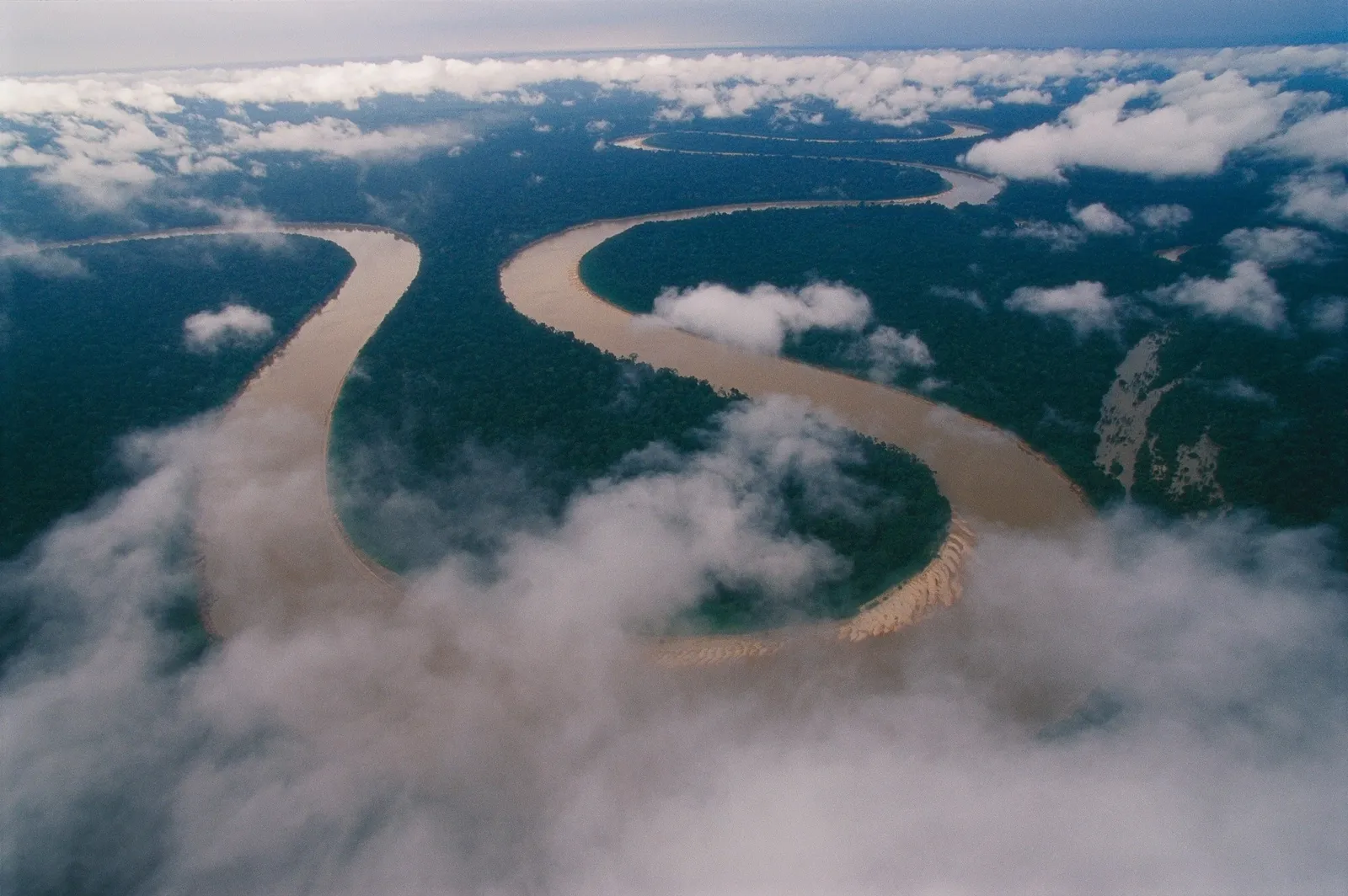 Biodiversité en Amazonie – Les engagements environnementaux de Lula face à l'épreuve du développement économique et des pressions agricoles