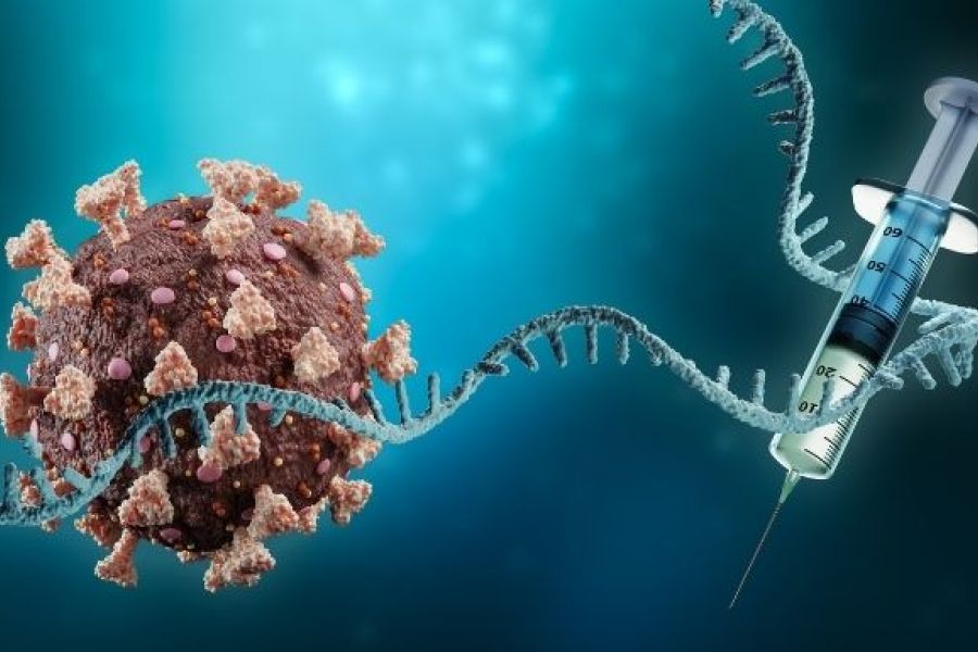 Santé Révolutionnaire : Les premiers succès cliniques des vaccins à ARNm contre les cancers du pancréas