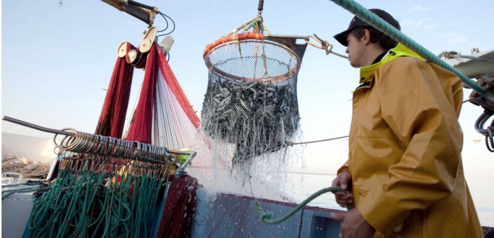 OMONDO ENVIRONNEMENT - Le tourisme durable en Polynésie française : Un modèle pour préserver les écosystèmes marins ?