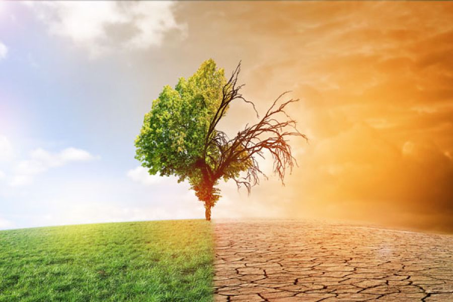 Transition Écologique et Adaptation au Changement Climatique : L'Urgence des Politiques d'Atténuation