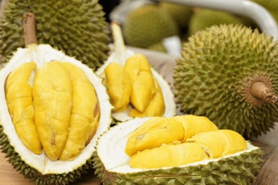 Vietnam : la chute des prix du durian freine les ambitions d’exportation vers la Chine
