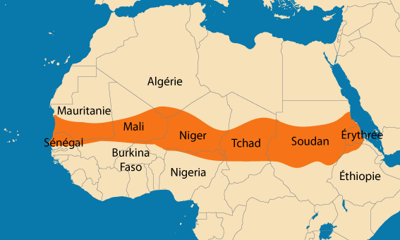 Dossier 2 : Le Sahel, Frontière de l'instabilité : Pourquoi l'Europe paie le prix fort de la crise régionale