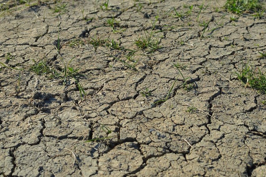 Sécheresse critique en Occitanie, restrictions drastiques sur l’usage de l’eau