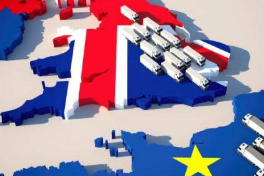 Déclin Démographique et Pénuries de Main-d'Œuvre : Les Solutions "Immigration Choisie" Débattues au Parlement Européen.