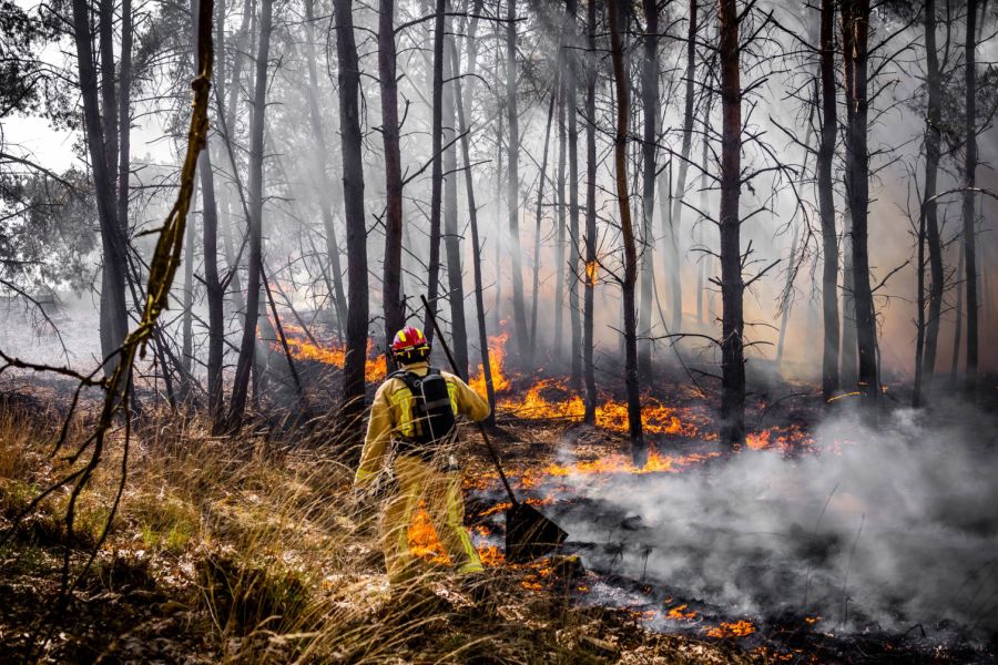 Climat mondial : L'impact dévastateur d'El Niño sur les records de températures de l'été 2026