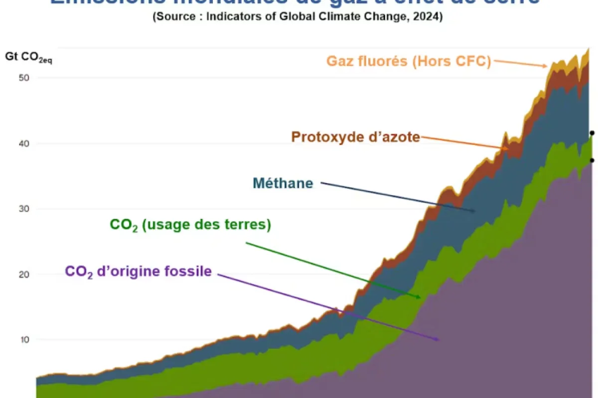 Révolte dans les Mines : Pourquoi le "Green Deal" européen se heurte à la réalité du terrain