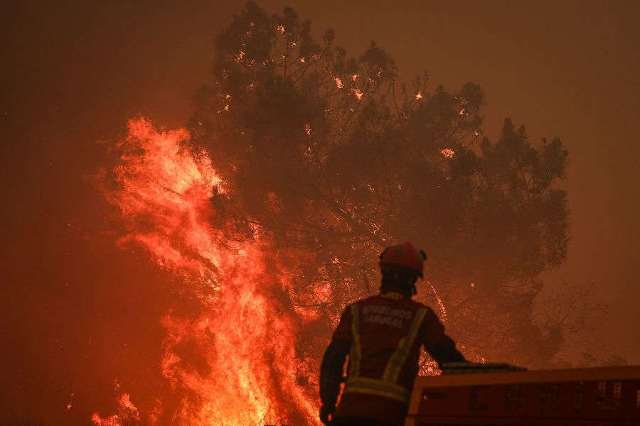 Union européenne : un million d’hectares brûlés en 2025, le feu remet en cause les politiques climatiques