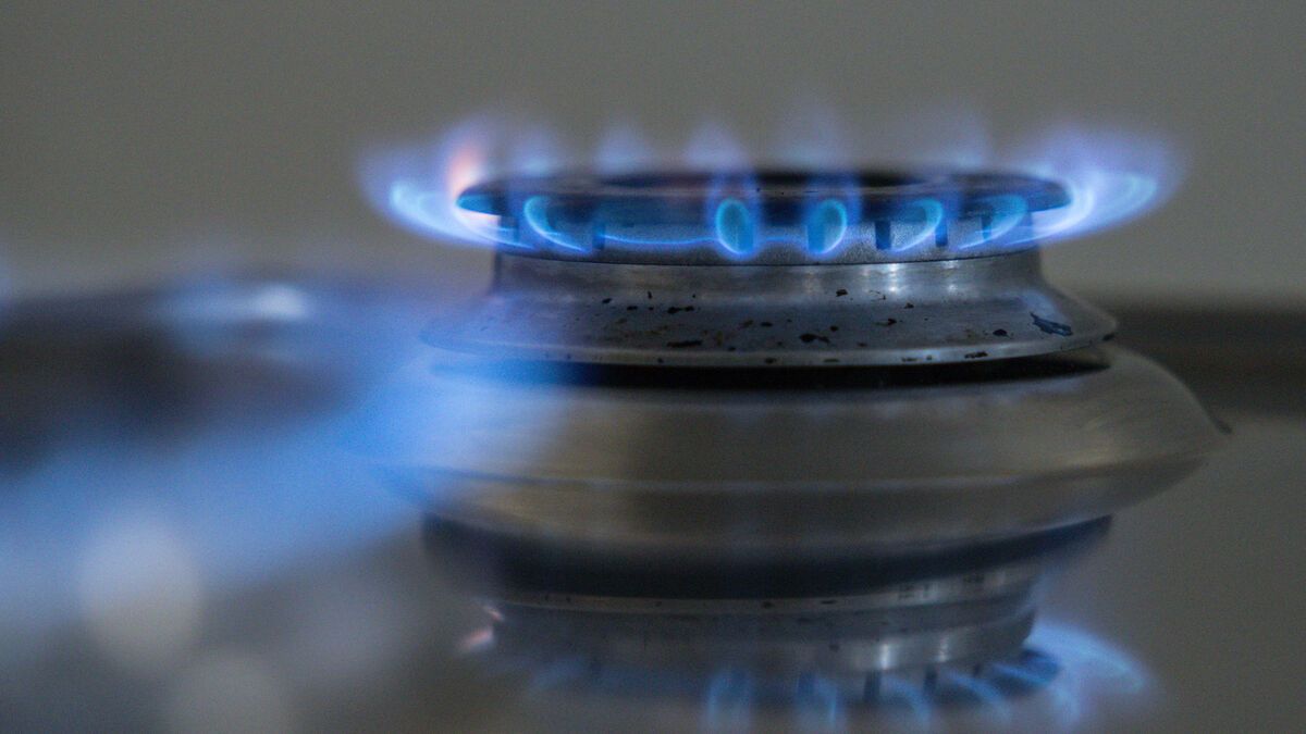 OMONDO ENVIRONNEMENT - Fiscalité verte : le gouvernement renonce à augmenter les taxes sur le gaz