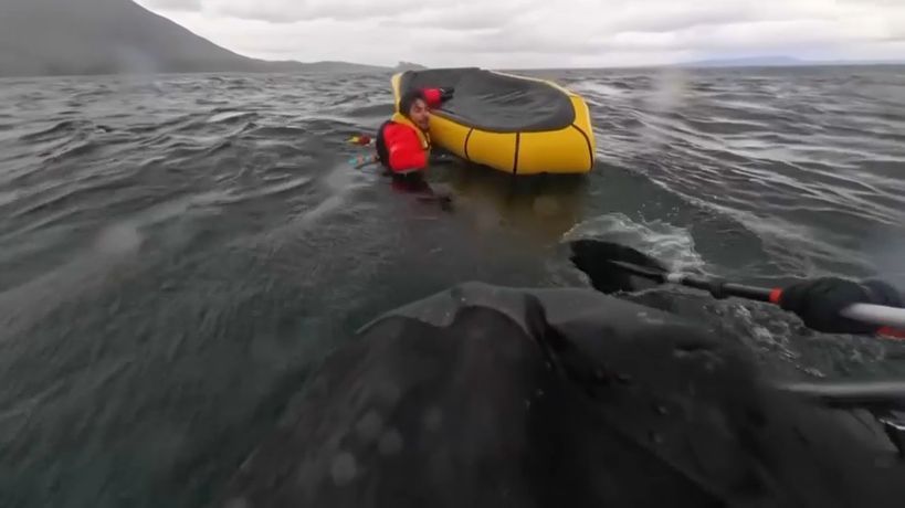 Chili : avalé par une baleine, un kayakiste s’en sort indemne. Le récit d'une survie incroyable et improbable.