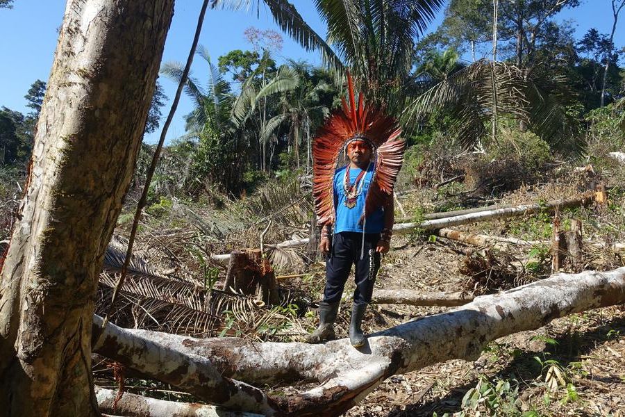 Les peuples autochtones unis contre un projet minier géant au Brésil, défense cruciale de la forêt et des droits ancestraux