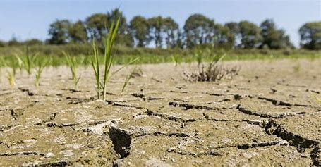 OMONDO ENVIRONNEMENT : La crise climatique frappe durement l'Afrique subsaharienne : quelles solutions face à l'urgence ?