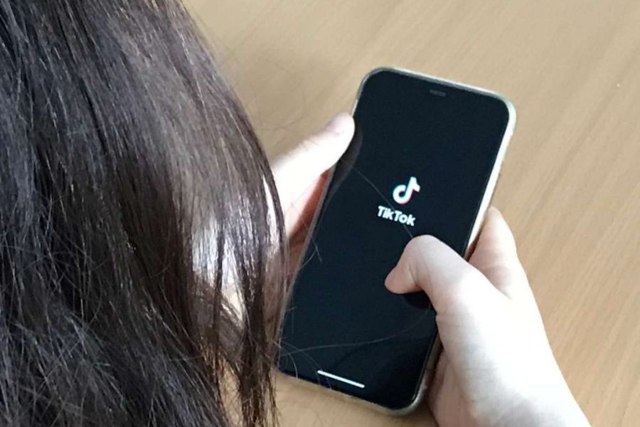 Les influenceurs politiques sur TikTok – Nouvelle fabrique de l’opinion ou danger pour la démocratie européenne ?