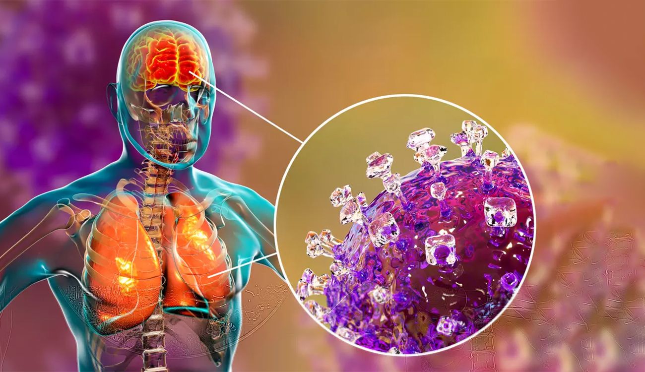 L'Ombre du Virus Nipah : L'OMS face au spectre d'une nouvelle pandémie mondiale en 2026