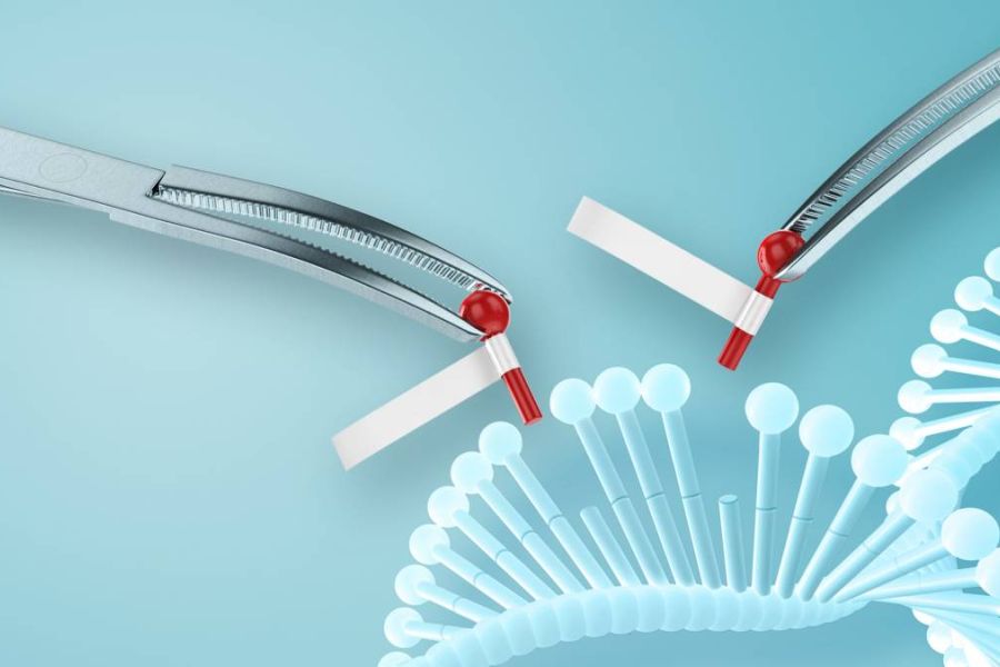 Édition Génomique : L'Avancée Qui Neutralise l'Alzheimer et Ouvre la Boîte de Pandore Éthique