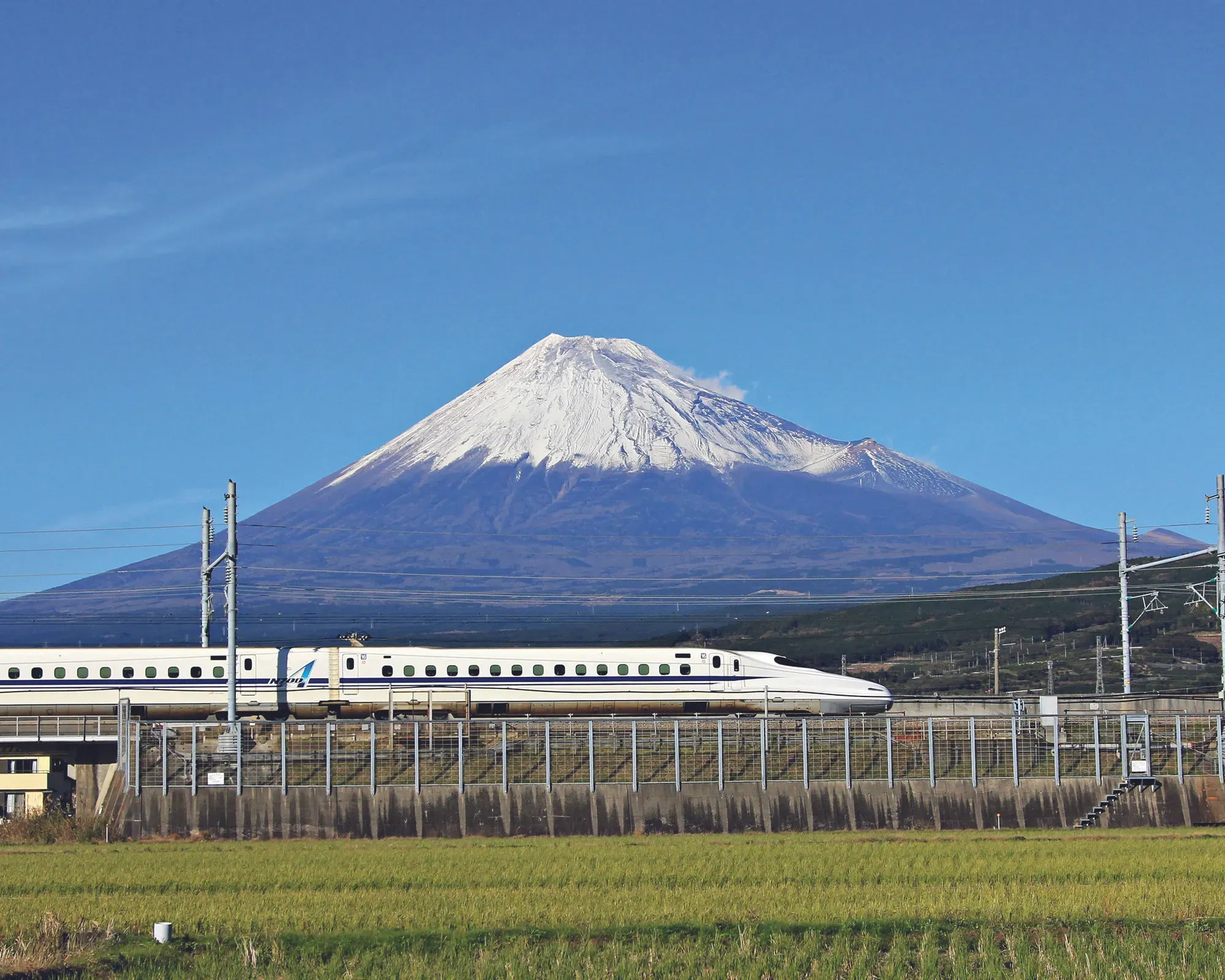 Climat Global : L'invasion des espèces non-natives et l'embrasement record du Chili en 2026