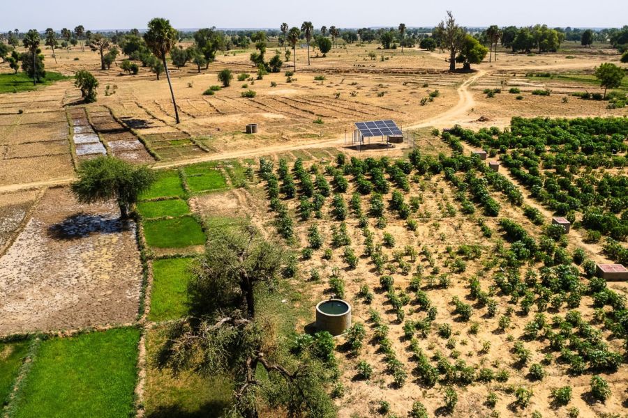 AGRICULTURE ET SÉCURITÉ ALIMENTAIRE : L’AUTRE FRONT DE LA GUERRE EN IRAN