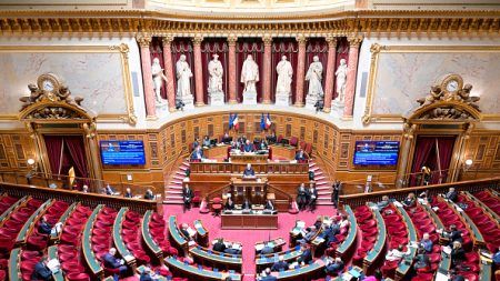 OMONDO SANTÉ - Le Sénat réduit le budget de l'Aide médicale d'État de 200 millions d'euros
