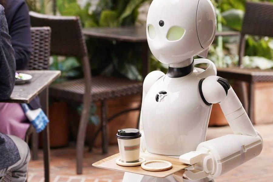 Japon 2026 : Le « Plan Renaissance » et l’intégration de la robotique sociale