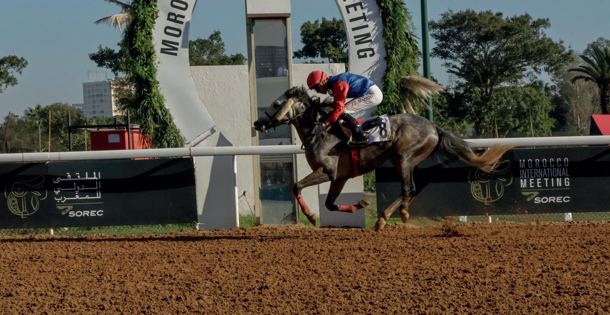 Sommet Hippique de Casablanca : Morocco International Meeting – L'Ascension du Maroc dans la Gouvernance Mondiale des Courses de Pur-Sang.