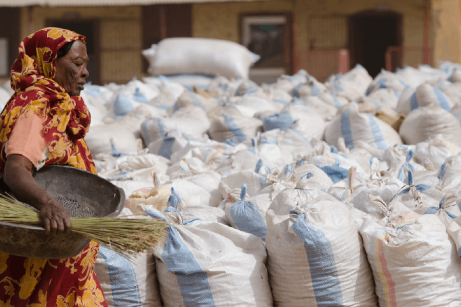 Sécurité alimentaire mondiale : Les nouvelles stratégies des superpuissances face aux crises climatiques répétées