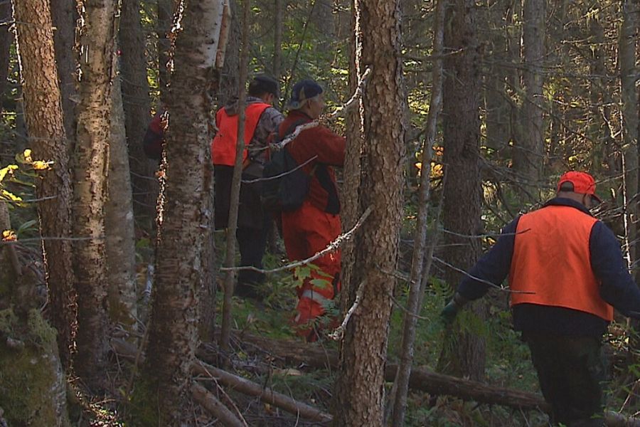 Canada : un randonneur survit 50 jours dans la forêt par -20°C