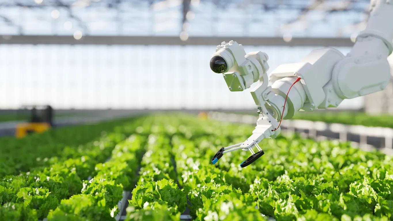 Révolution Agroécologique : La montée en puissance de l'agriculture verticale et de la culture cellulaire en Europe du Nord