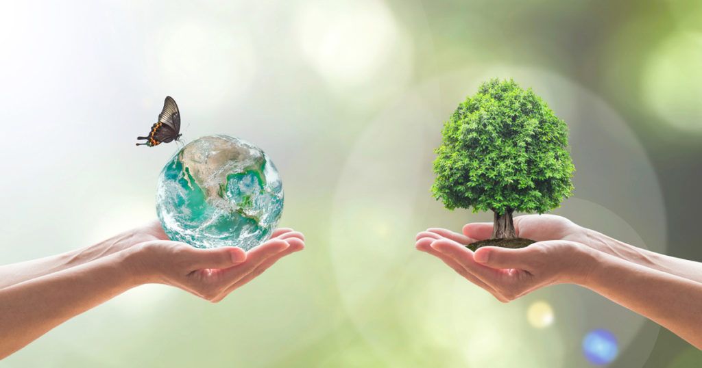 OMONDO ENVIRONNEMENT - Forêts françaises : Impact du changement climatique et solutions