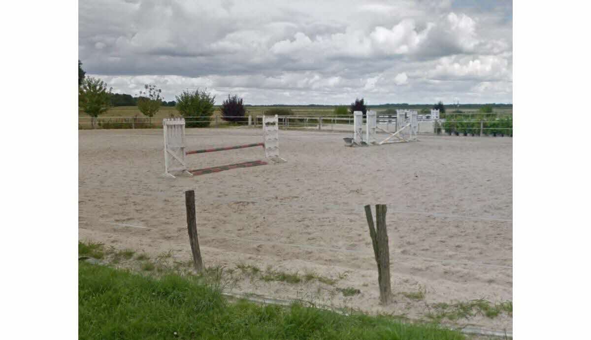 OMONDO FAITS DIVERS - Mort tragique : Une fillette de 10 ans décède après un coup de sabot d'un poney