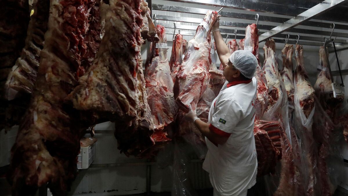 OMONDO SANTÉ - Viande contaminée aux hormones : défaillances dans la traçabilité des exportations brésiliennes vers l'UE