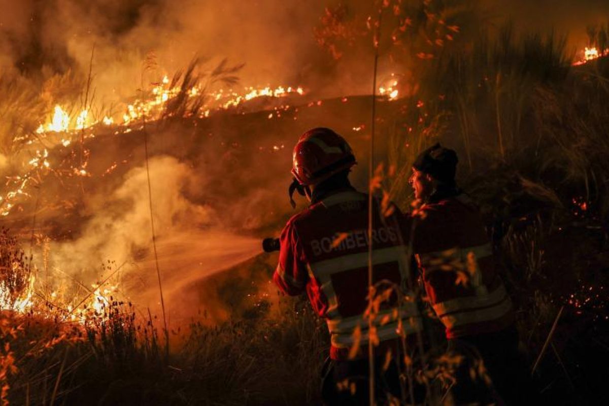 OMONDO DOSSIER SPECIAL 1 : L'EUROPE SOUS LE CHOC D'UNE CANICULE HISTORIQUE ET DE FEUX DE FORÊT SANS PRÉCÉDENT