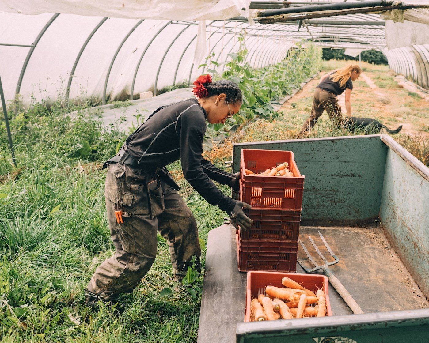 DOSSIER D'INVESTIGATION : La Guerre des TerresAgriculture Paysanne vs Méga-fermes : Le duel pour l'assiette de 2026