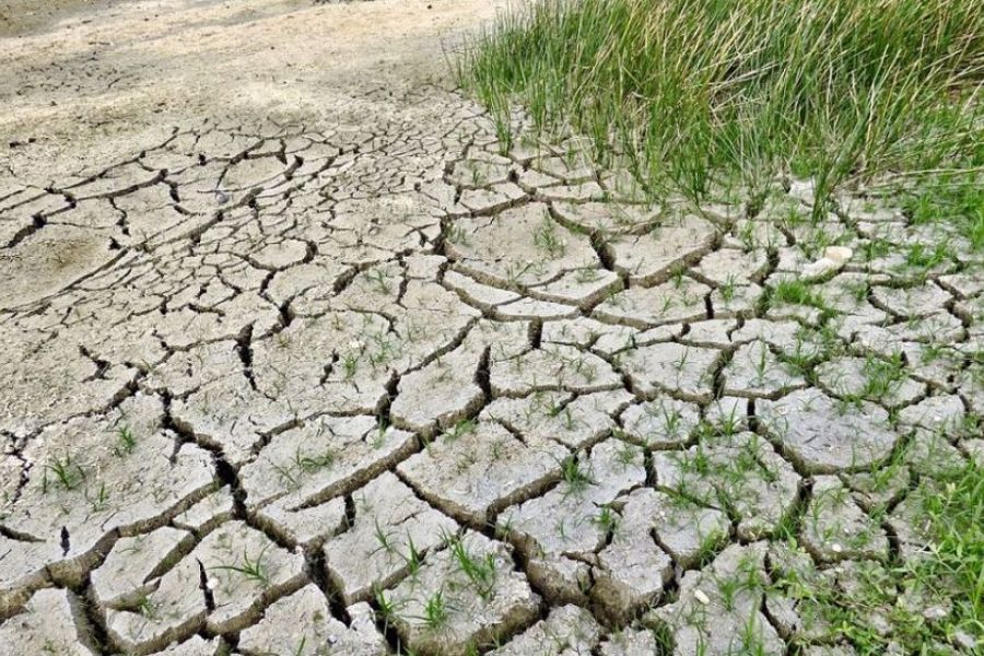 OMONDO Agriculture - Sécheresse et agriculture : Adaptation aux changements climatiques