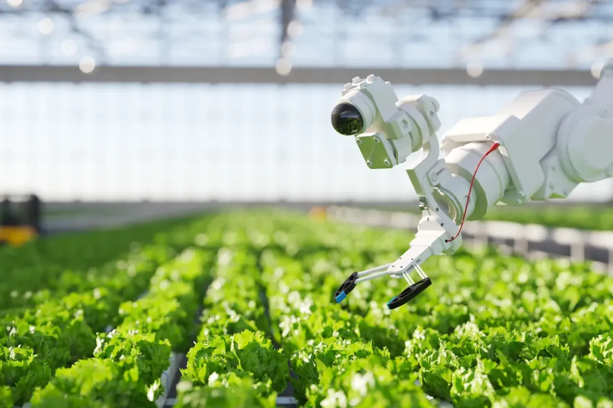 Révolution Agroécologique : La montée en puissance de l'agriculture verticale et de la culture cellulaire en Europe du Nord