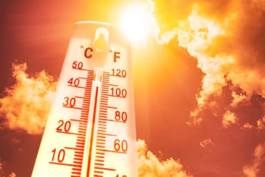 Températures records en Europe : le seuil des 1,5°C de réchauffement mondial franchi ? L’urgence climatique se fait sentir