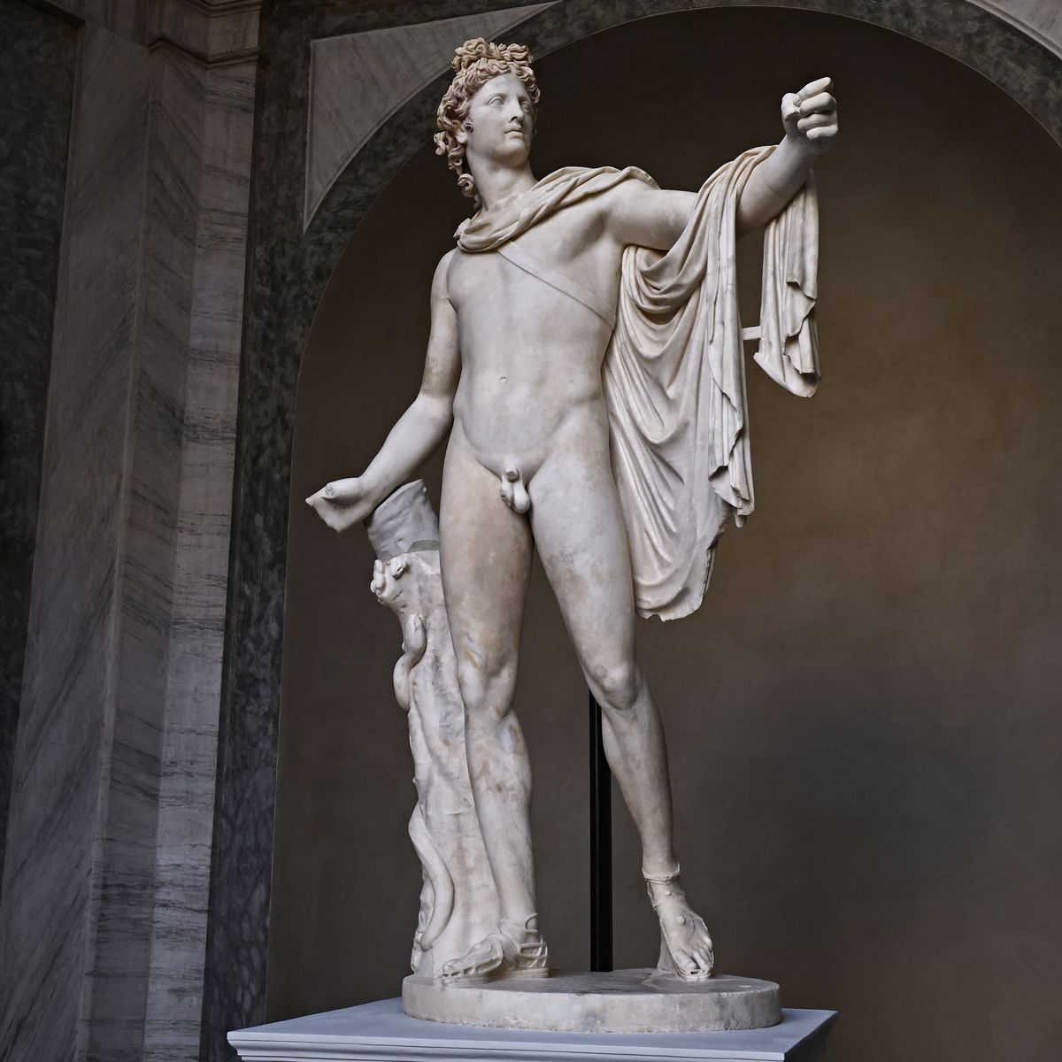 OMONDO CULTURE - Aux Musées du Vatican, L’Apollon du Belvédère fait peau neuve après restauration