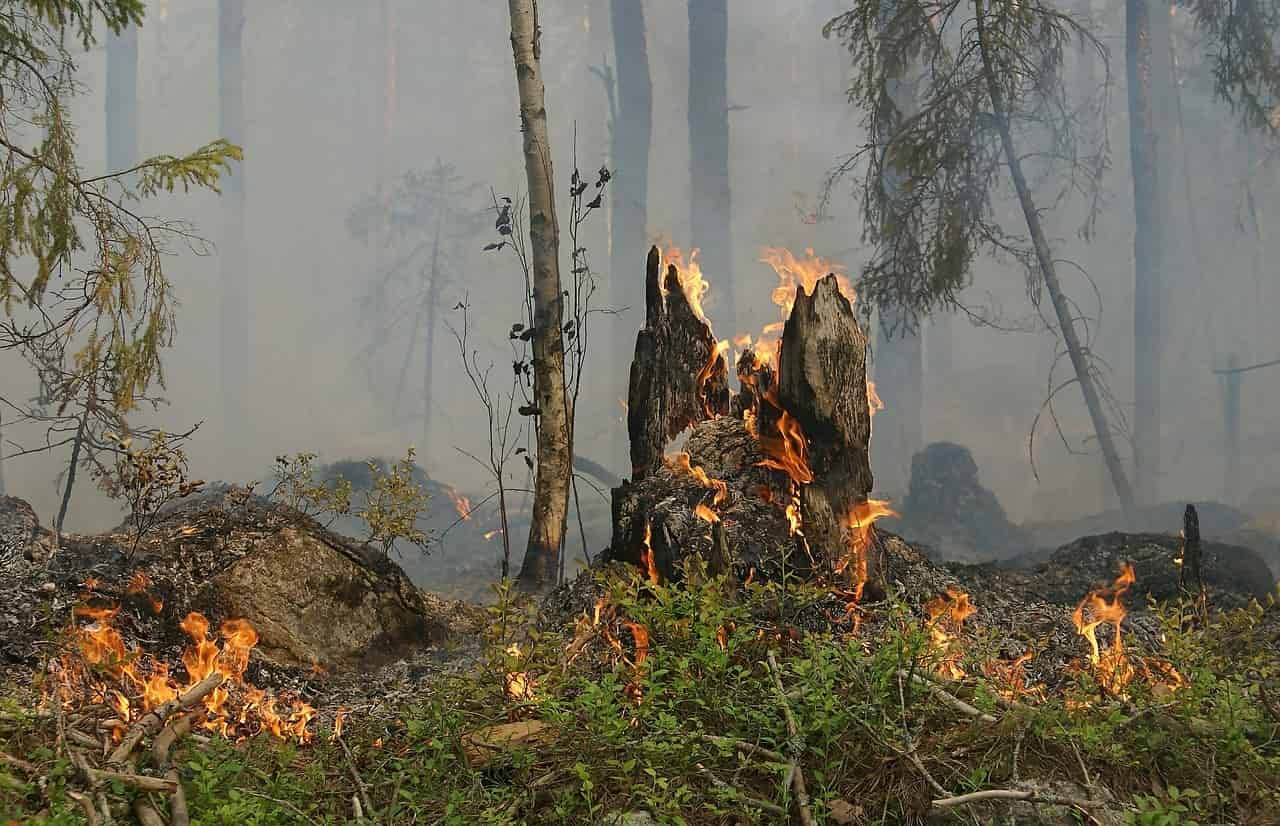 Catastrophe climatique : La Terre subit une série noire de désastres naturels