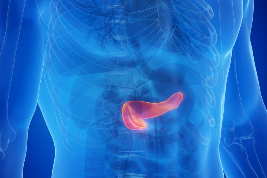 Une vaste étude confirme le lien entre alcool quotidien et cancer du pancréas