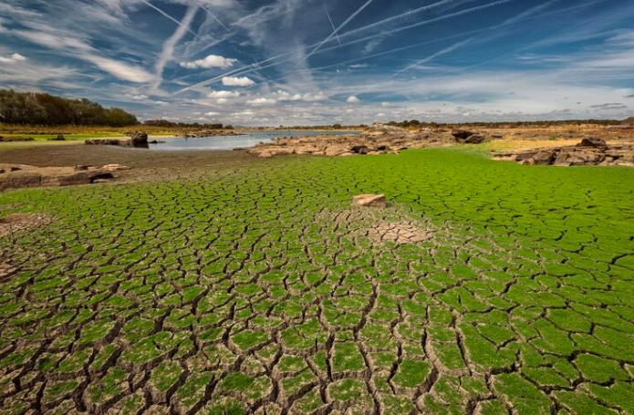 Sécheresse et monde agricole en France : Mutation des modèles de production face au défi hydrique