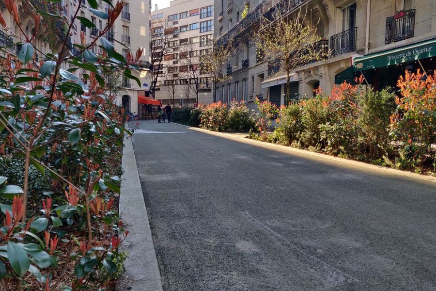 Paris vote pour la piétonnisation et la végétalisation de 500 nouvelles rues