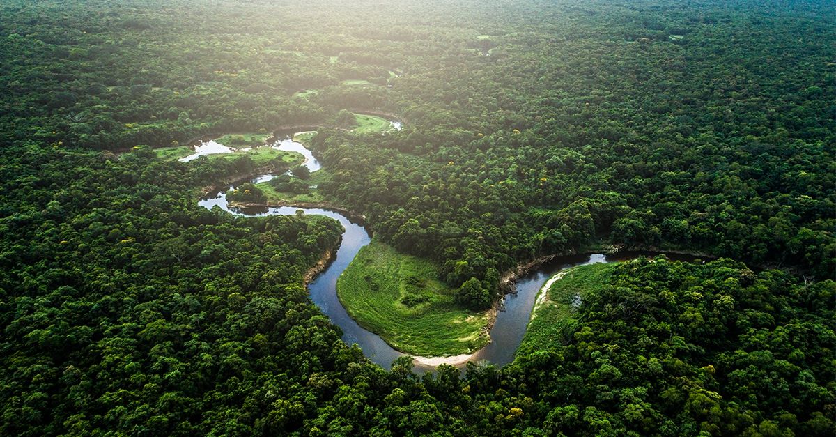Environnement - Brésil : La rue vers le profit continue au détriment de la forêt