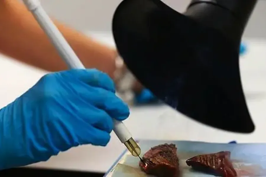 L'addictologie au bistouri se définit par une quête insatiable de correction pour des défauts souvent imaginaires ou microscopiques.