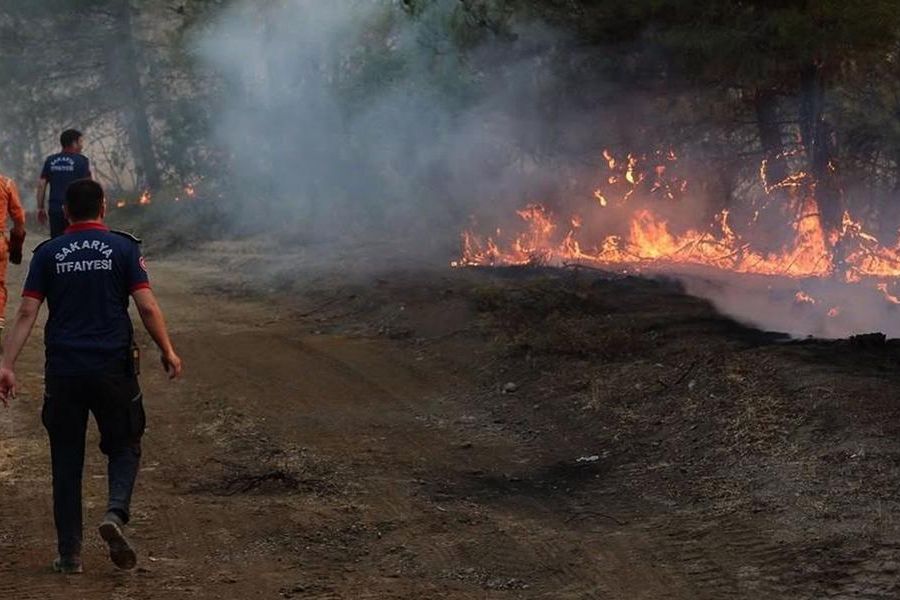 Incendies en Turquie, évacuations massives et gestion de crise