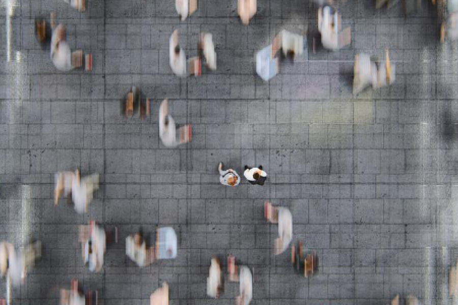 Mobilité sociale en France : obstacles et solutions pour l'ascenseur social